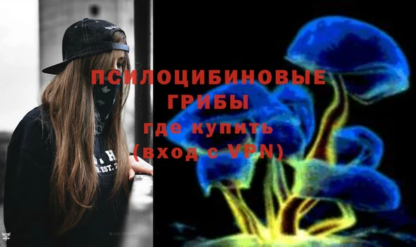 стафф Абинск