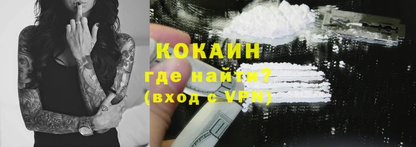 гашик Алексеевка