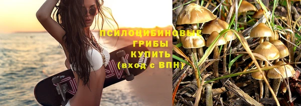 гашик Алексеевка