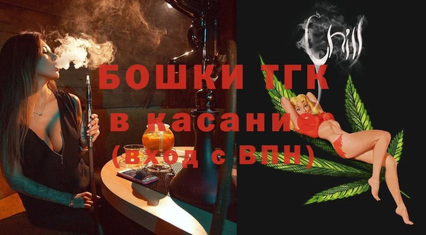 гашик Алексеевка