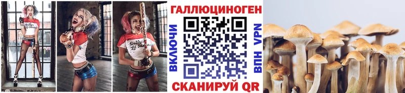 Псилоцибиновые грибы прущие грибы  Чкаловск 